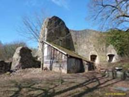     / NEUBURG AM INN   (XII-XV .) / Castle (XII-XV c.)