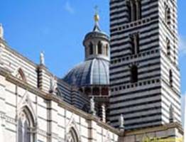  / SIENA   () / City cathedral (Gothic)