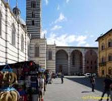  / SIENA   () / City cathedral (Gothic)