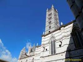  / SIENA   () / City cathedral (Gothic)