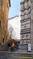  / SIENA   () / City cathedral (Gothic)