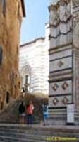  / SIENA   () / City cathedral (Gothic)