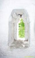  / JAROSLAVL - .    (. XVI ) // Spaso-Preobrazhensky cloister. The cathedral and the bell-tower (beg. 16th c.)