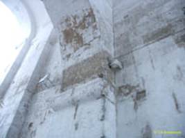  / VLADIMIR   (11581164) / Golden Gates (11581164)