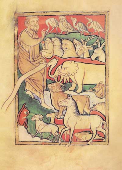 Adam baptizes animals. The parchment from English "Bestiary".