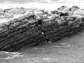 In the sea (Ruins of Arsuf-Apollonia)