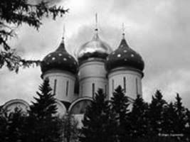 Domes with stars (Troitse-Sergiev)