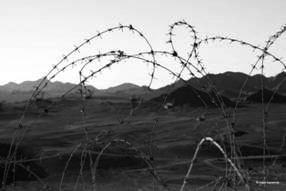 Barbed wire in the desert