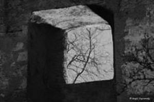 Wood and stone