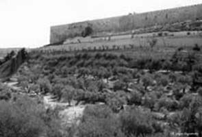 Jerusalem in the sun