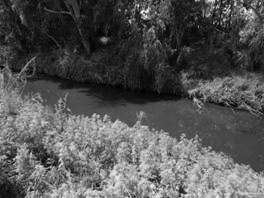 The Alexander river
