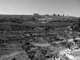 View at Old City from Olive Mount