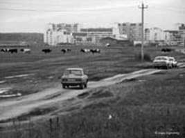 At the edge of Southern Butovo