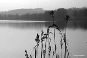 At the Vilstalsee lake