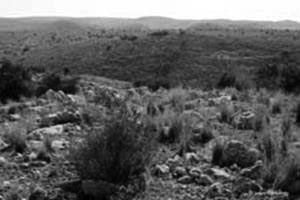 Judean desert