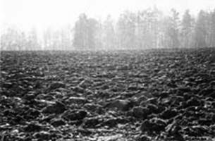 Ploughed field