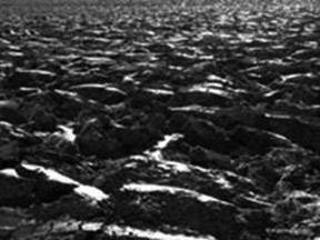 Ploughed field