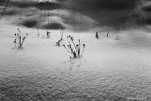 Music under snow