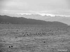 Alps above Starnberg lake