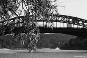 Bridges above water