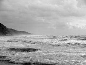 Surf