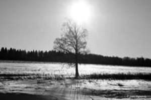 Solitude
