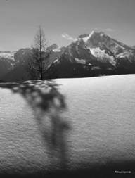 Alps