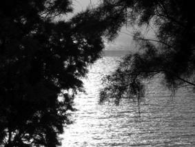 Above the golden sea