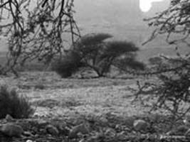 Near the Dead sea