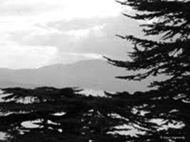 In mountains