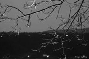 Evening lights
