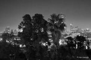 In the city park (Tel-Aviv)