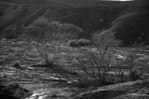 Under Shlomo mountain near Eilat