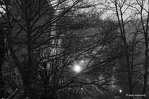 Lights