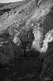 In a gorge