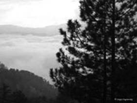 Above the clouds