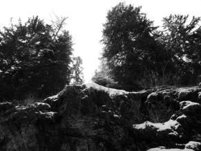 On gray stones