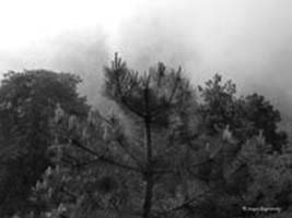 Behind the clouds