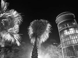 Southern night