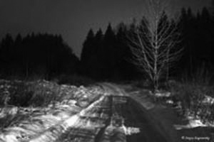 Winter road