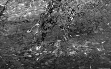  . .     (). 2560x1600