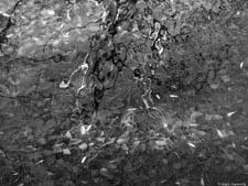  . .     (). 320x240