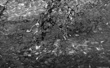  . .     (). 400x240