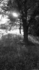  . .     (). 1136x640