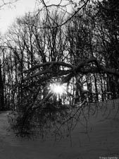 Sergey Zagraevsky. Photoart. Wallpapers (nature). 2560x1920