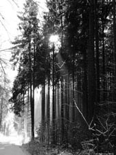 Sergey Zagraevsky. Photoart. Wallpapers (nature). 2560x1920