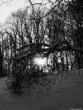  . .     (). 320x240