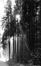  . .     (). 400x240