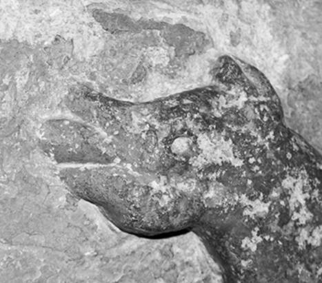 The original zoomorphic bas-relief "Gorodische" Church. Fragment.